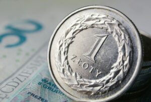 pexels gosia k 23254118 18306050
